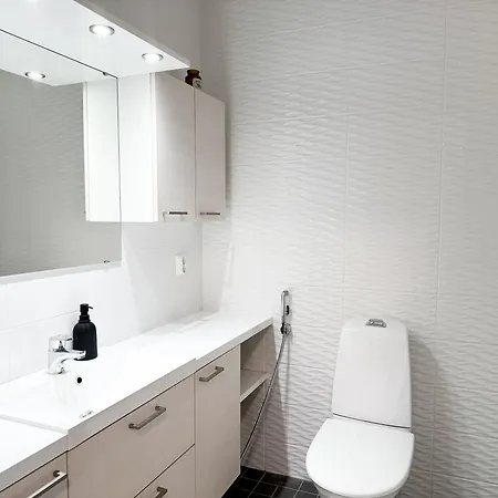 Villa Arctic Aurora By Booklapland Rovaniemi